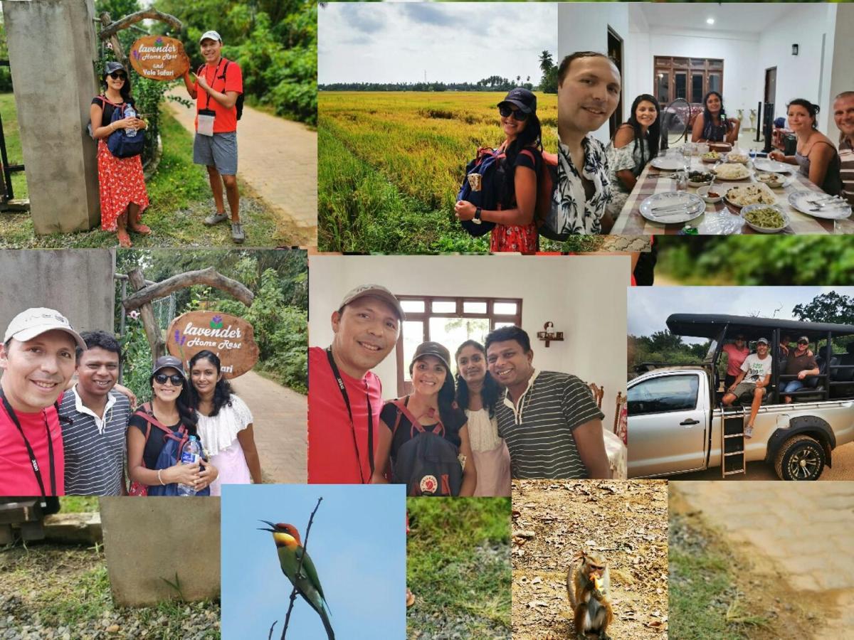 Lavender Home Yala Safari Tissamaharama Bagian luar foto